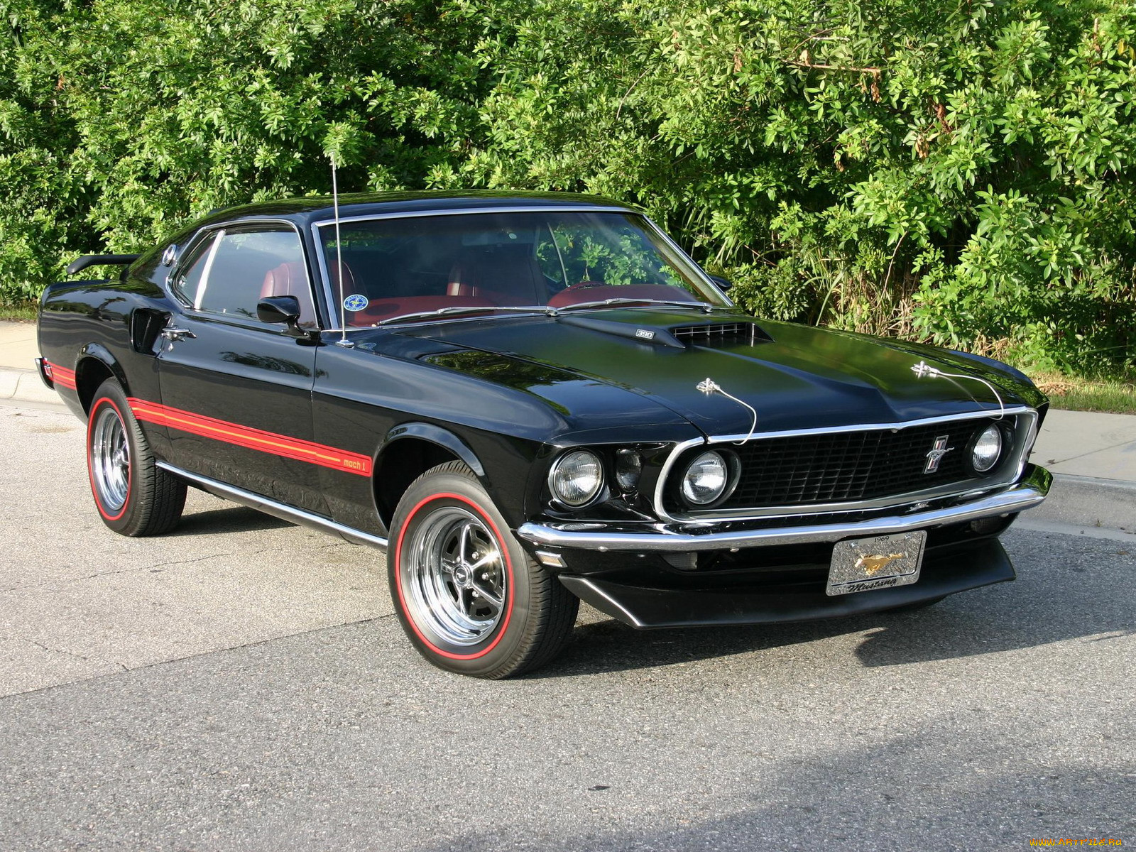 mustang, mach, , ford